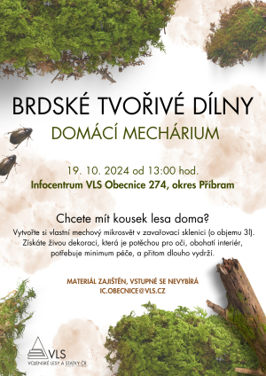 Domácí mechárium  -  Brdské tvořivé dílny