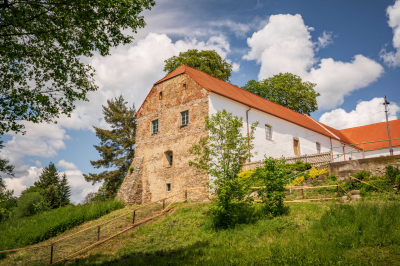 Spejchar - hvozdany 